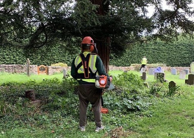 Professional Tree Services near me Harlow CM17